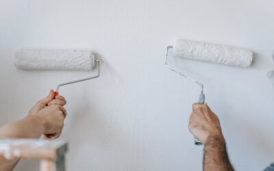 5 Reasons to Choose Reliable Painters for Your Home Renovation Project