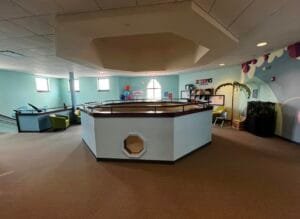 interior staining painting