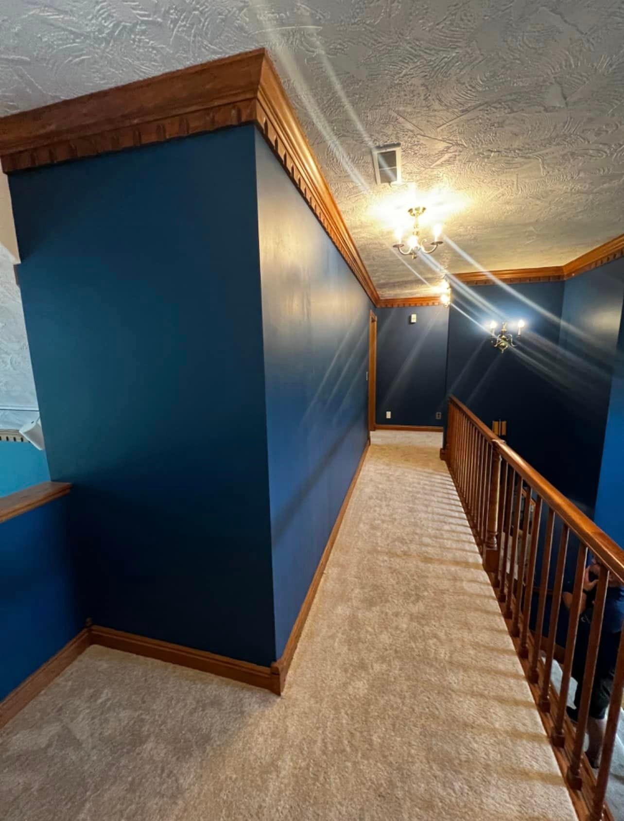 448277889_429677539876282_2496499256753454160_n