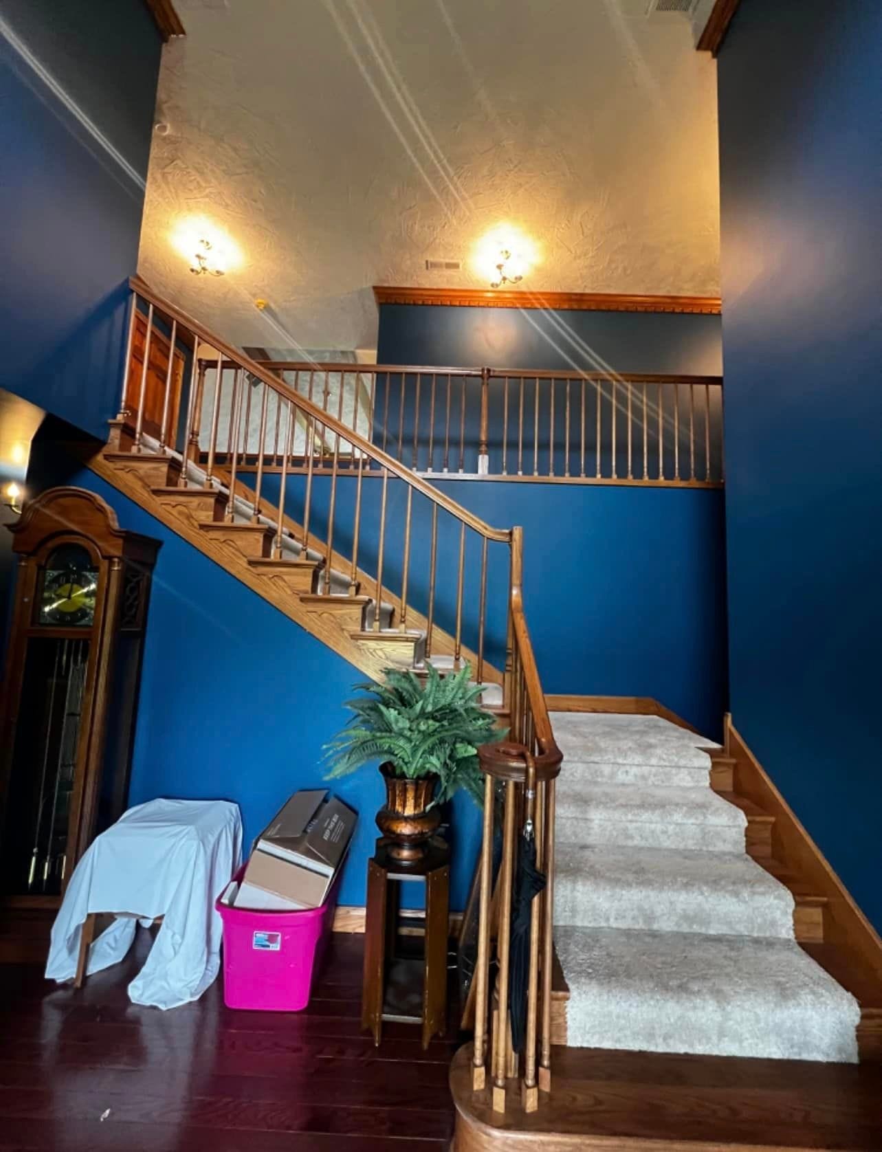 448370396_429677583209611_8703647006646479473_n