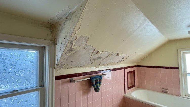 Paint peeling in sheets with mildew on the sloped ceiling of a pink-tiled bathroom beside a frosted winter window